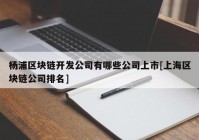 杨浦区块链开发公司有哪些公司上市[上海区块链公司排名]